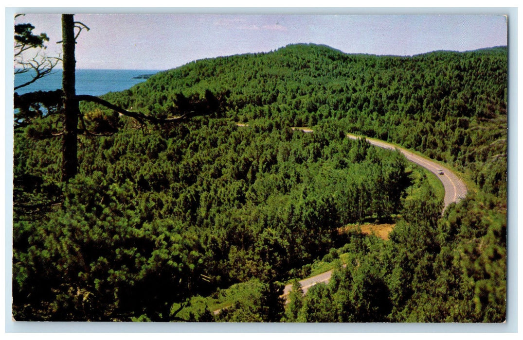 1920 Winding Road North Shore Lake Superior Virginia Minnesota MN Trees Postcard