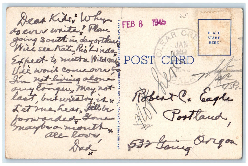 c1940's Hawaiian Women Lei Vendors Tourists View Honolulu Hawaii HI TH Postcard