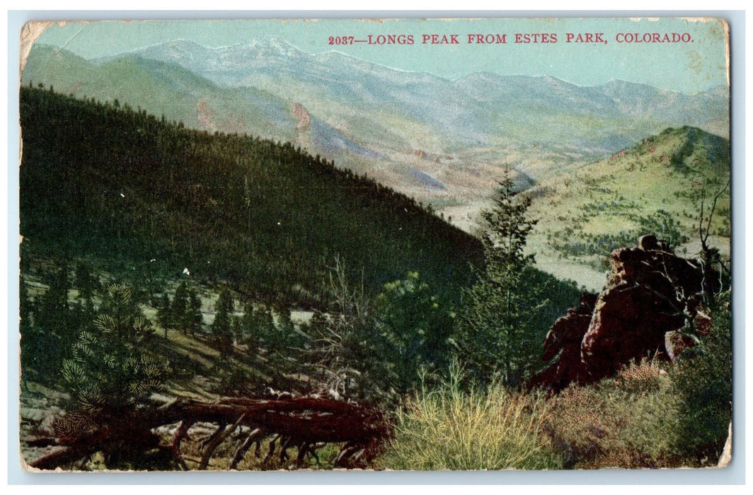 1910 Long Peak From Estes Park Trees Scene Haxtum Colorado CO Posted Postcard