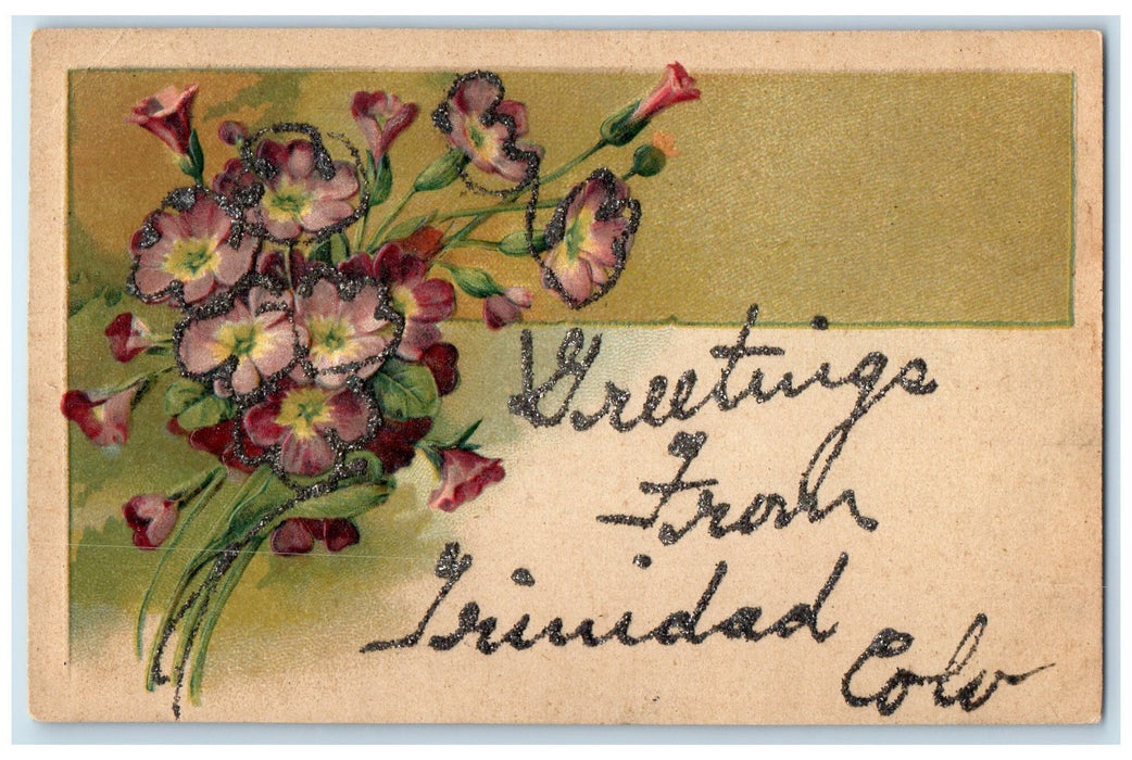 1907 Greetings From Trinidad Colorado CO Posted Embossed Set Of Flowers Postcard