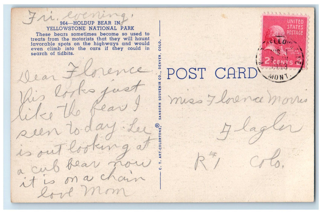 1953 Holdup Bear Scene In Yellowstone National Park Denver Colorado CO Postcard