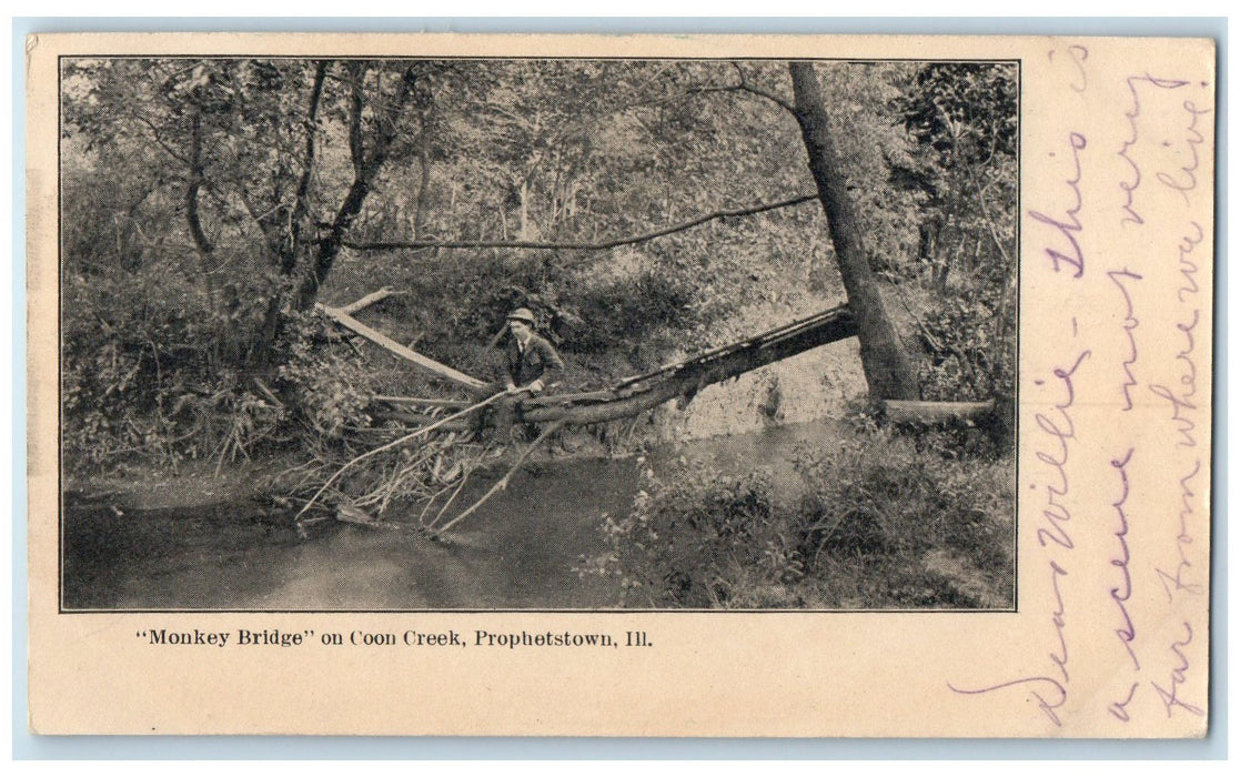 1905 Monkey Bridge On Coon Creek Scene Prophestown Illinois IL Posted Postcard