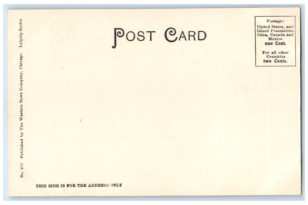 c1905's Tribune Building Exterior Roadside Chicago Illinois IL Unposted Postcard