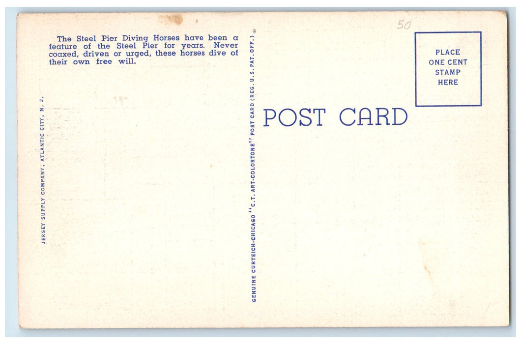 c1940's Diving Horse By Night Ocean End Steel Pier Atlantic City NJ Postcard