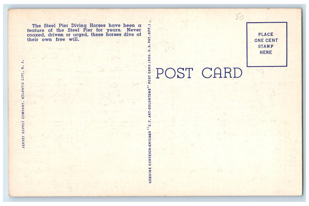 c1940's High Diving Horses Ocean End Steel Pier View Atlantic City NJ Postcard