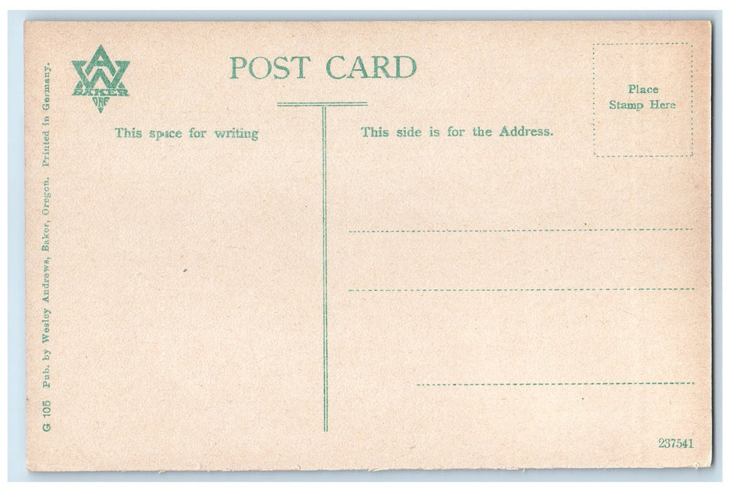 c1910s Scenic View Of Black Lake Adams County Idaho ID Unposted Vintage Postcard