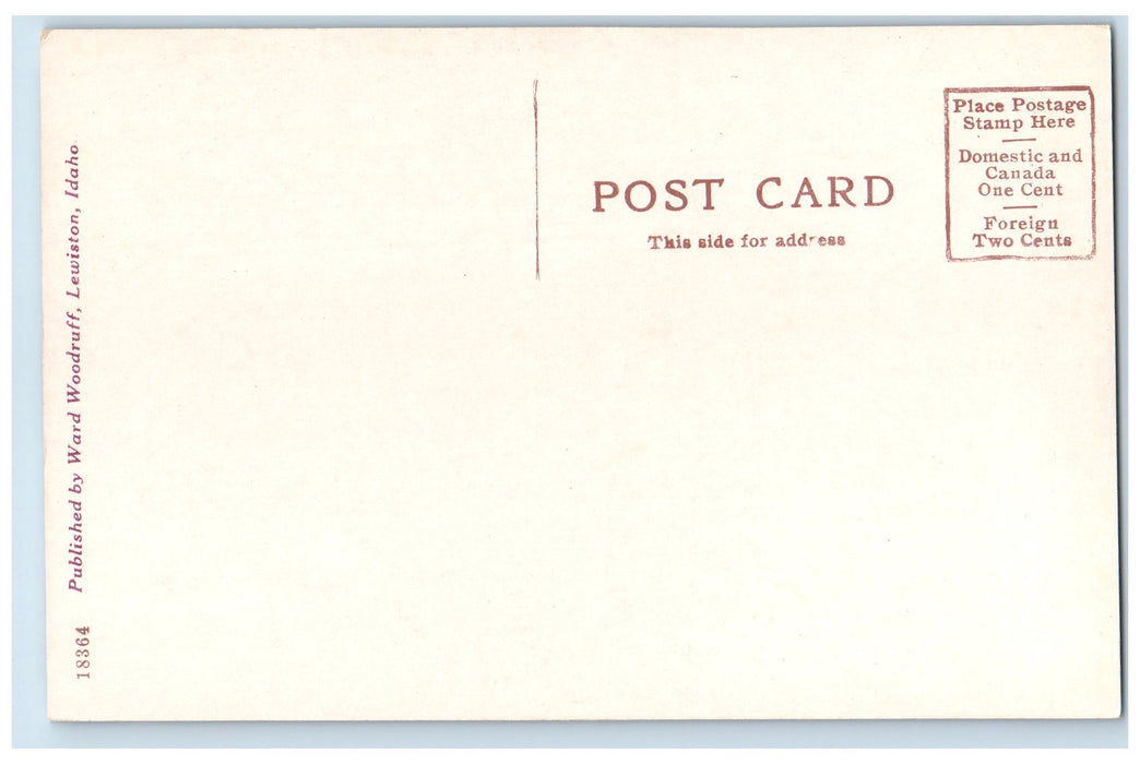 c1910's The Loop Lewiston Grangeville Line Lewiston Idaho ID Unposted Postcard