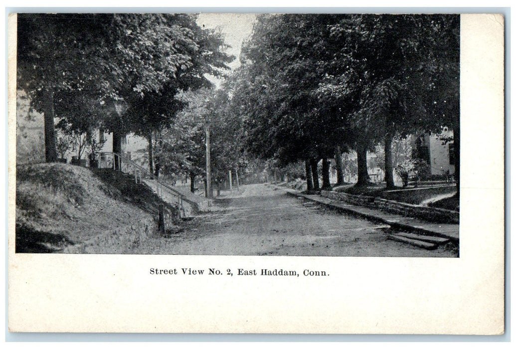 c1910's Street View No. 2 East Haddam Connecticut CT Unposted Trees Postcard
