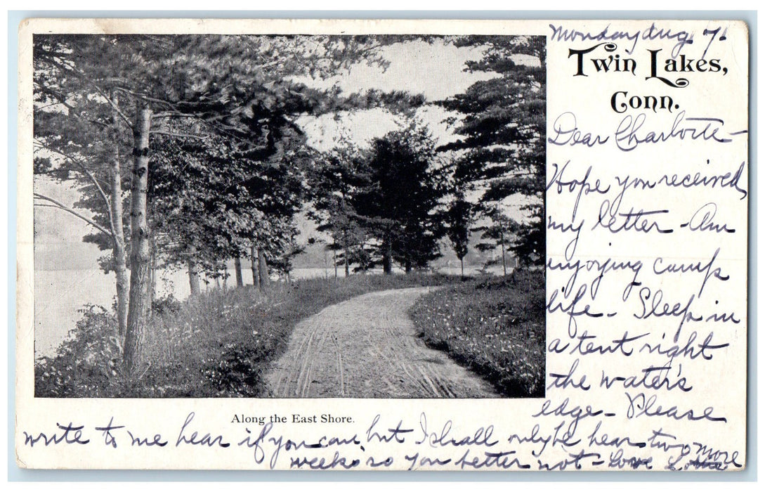1905 Along The East Shore Scene Twin Lakes Connecticut CT Posted Trees Postcard