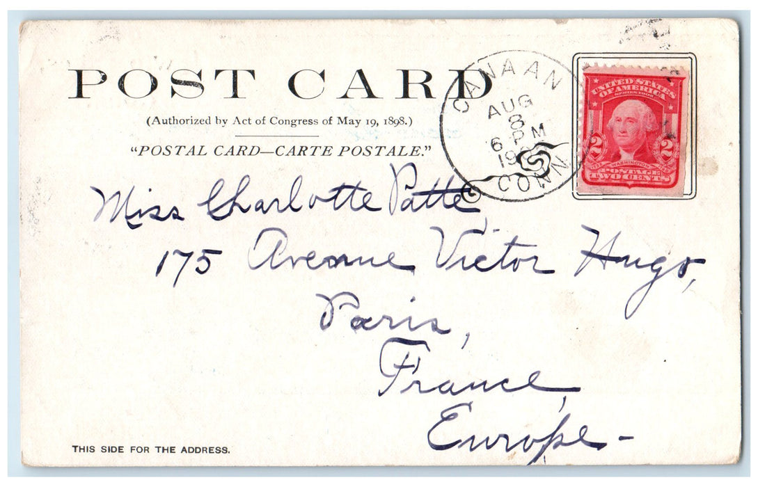 1905 Along The East Shore Scene Twin Lakes Connecticut CT Posted Trees Postcard