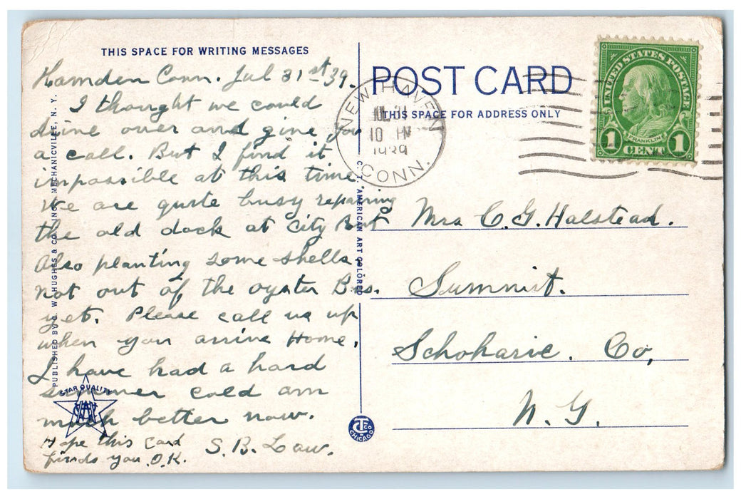 1939 Scenic View Sleeping Giant Mountain Hamden Connecticut CT Posted Postcard