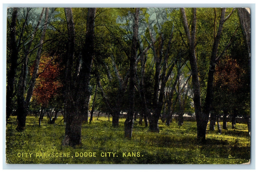 1914 City Parkscene Trees Scene Dodge City Kansas KS Posted Vintage Postcard