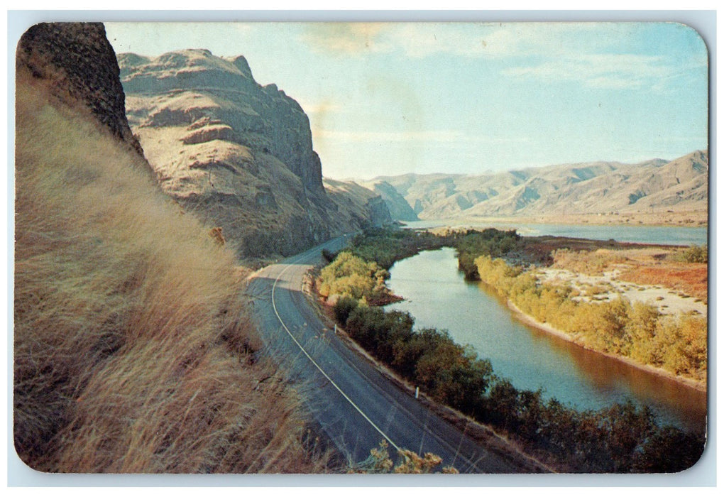 1975 Highway #410 Along The Snake River Clarkston Washington WA Trees Postcard