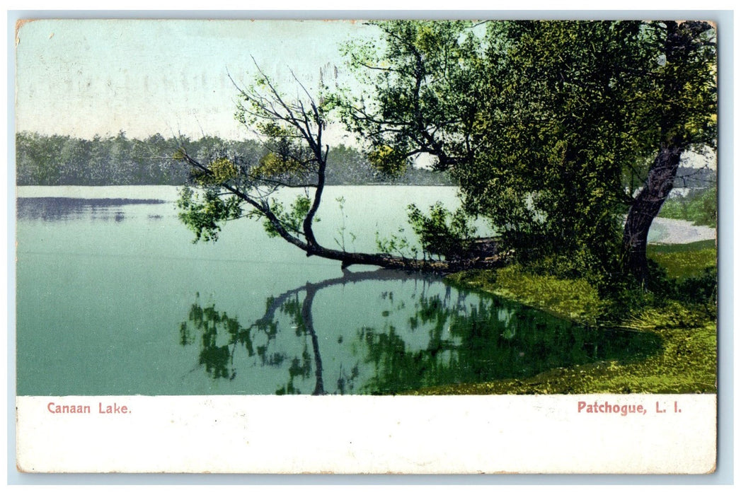1914 Canaan Lake Trees Scene Patchogue Long Island New York NY Posted Postcard