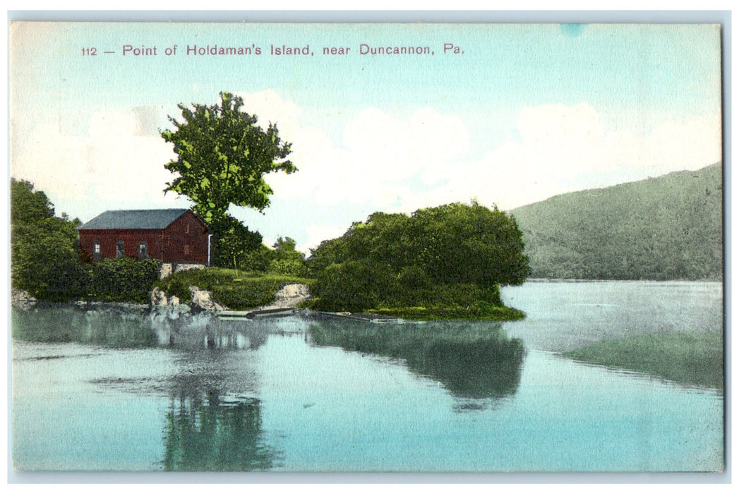 c1910's Point Of Holdaman's Island Near Duncannon Pennsylvania PA Trees Postcard