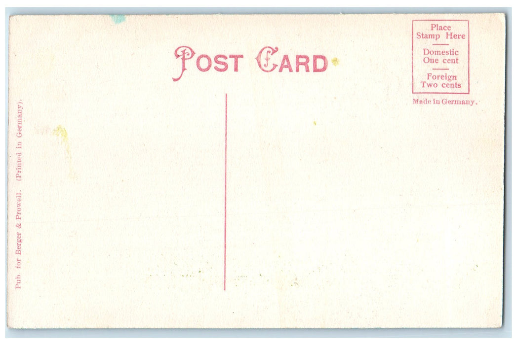 c1910's Point Of Holdaman's Island Near Duncannon Pennsylvania PA Trees Postcard