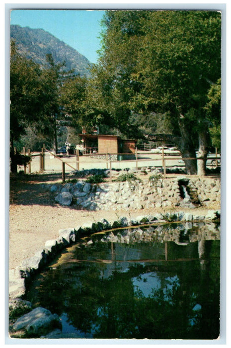c1960's Aerial View Of Trout Lake With Lake George Troy New York NY Postcard