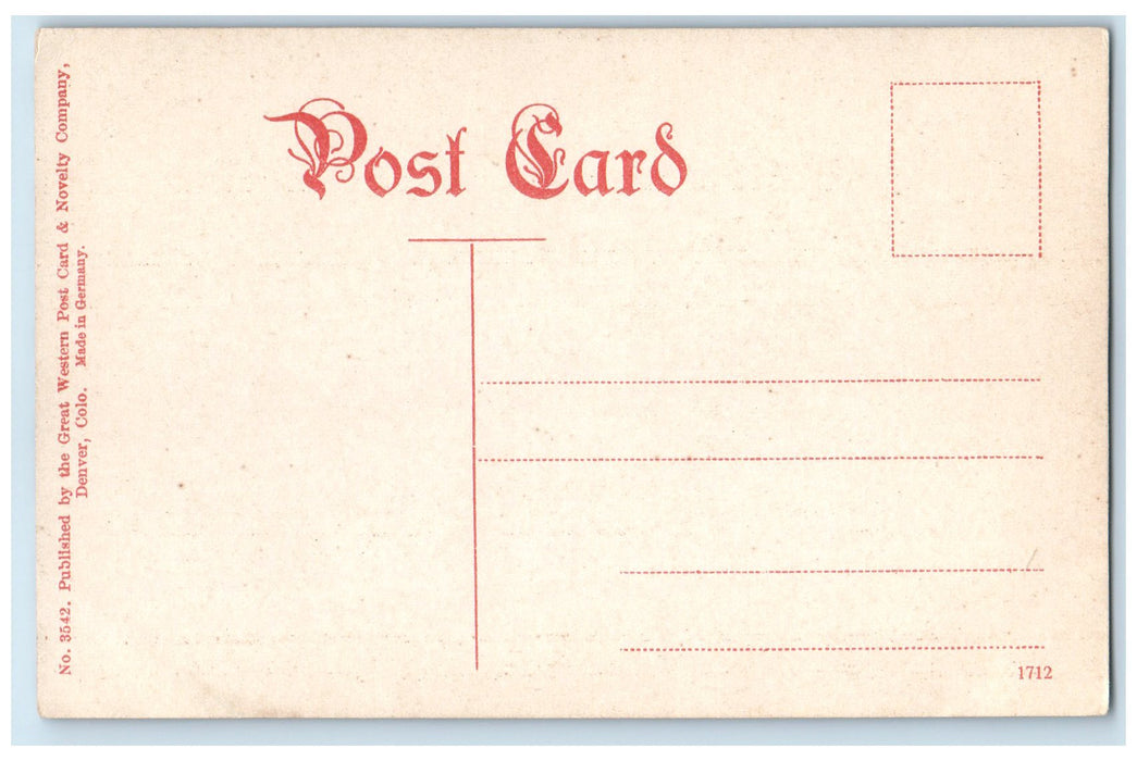 c1910's Argentine Falls On The Argentine Central Railway Georgetown CO Postcard