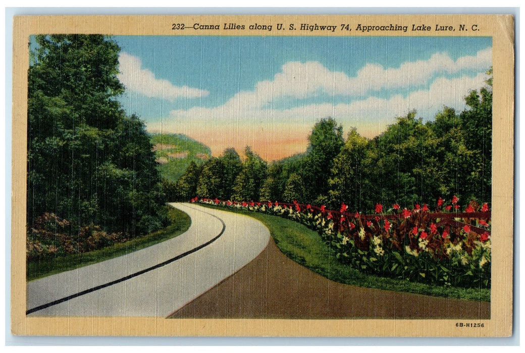 c1940's Canna Lilies US Highway Approaching Lake Lure North Carolina NC Postcard