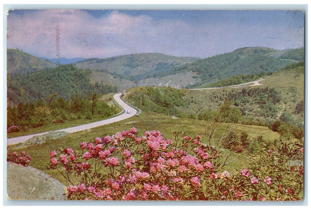 c1950 Blue Ridge Parkway Curve Road In Doughton Park North Carolina NC Postcard