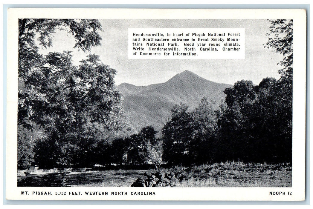 c1920's Hendersonville Mt. Pisgah 5,752 Feet Western North Carolina NC Postcard