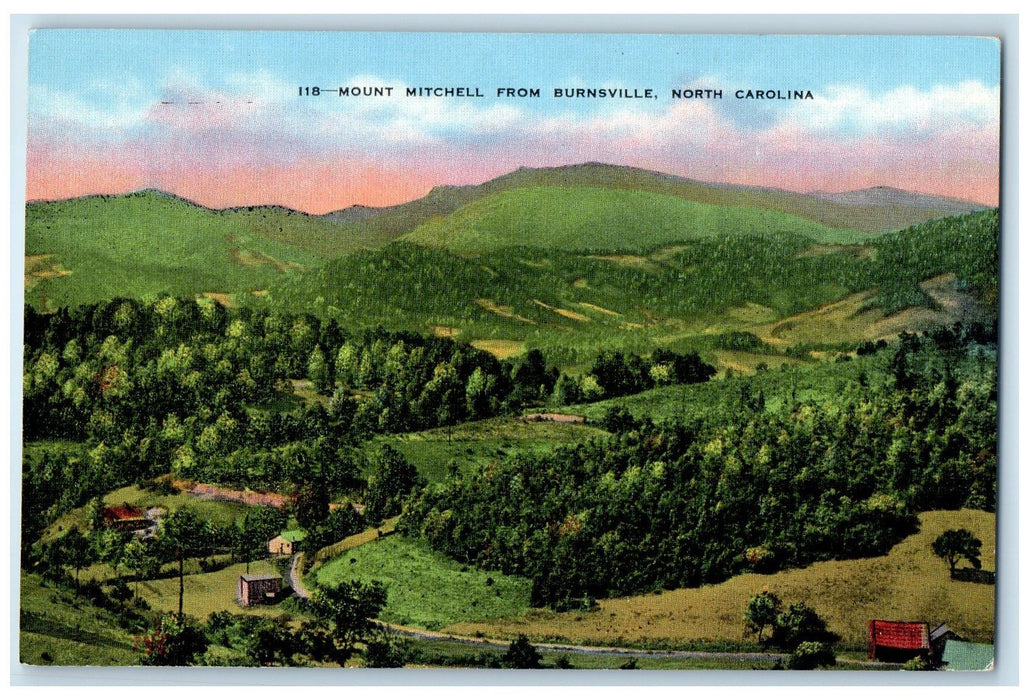 c1950's Mt. Mitchell Hills Groves From Burnsville North Carolina NC Postcard