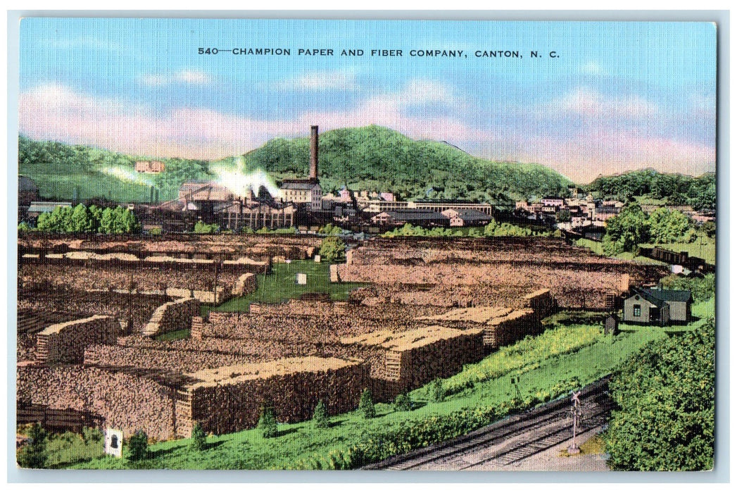 c1940 Champion Paper & Fiber Company Wood Pile Canton North Carolina NC Postcard