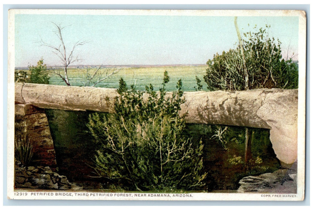 c1920's Petrified Bridge Third Petrified Forest View Adamana Arizona AR Postcard