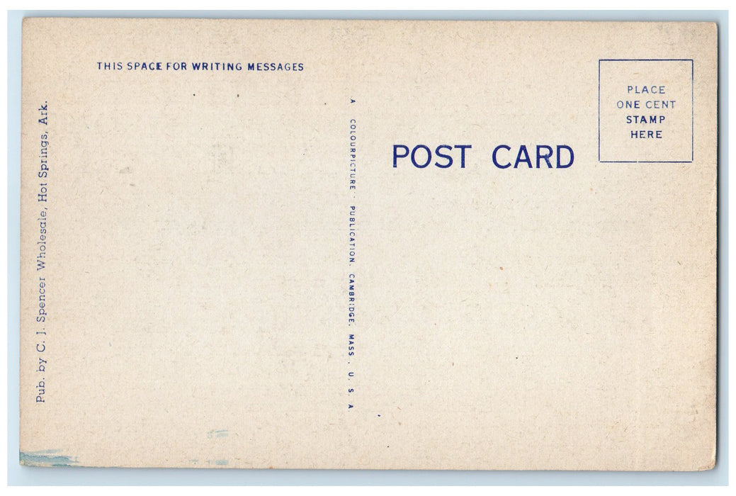 c1940 Looking Down West Mountain Hot Springs National Park Tourists AR Postcard