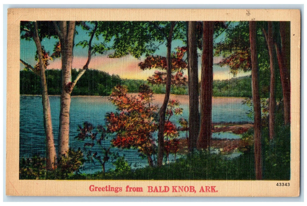 c1940's Greetings From Bald Knob Lake River Trees Groves Arkansas AR Postcard