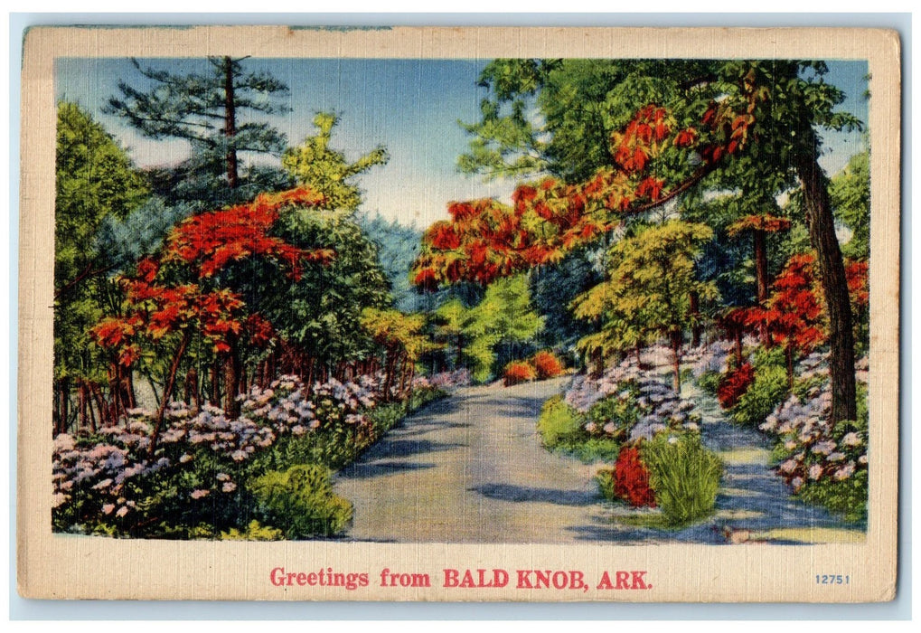 c1940 Greetings From Bald Knob Road Pathway Flower Arkansas AR Unposted Postcard