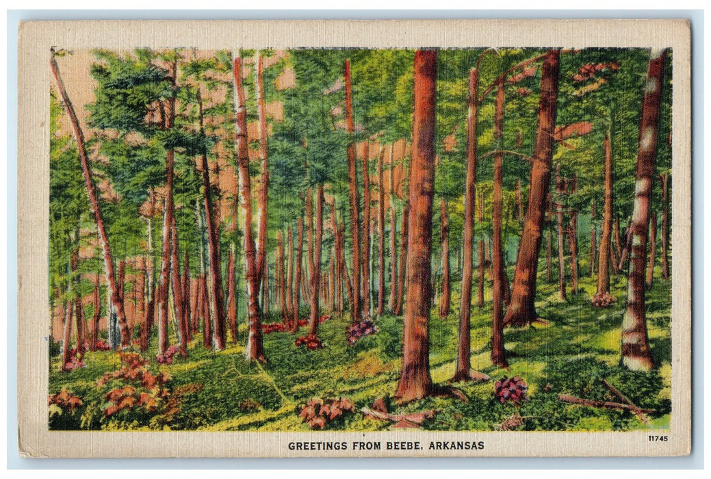 c1940's Greetings From Beebe Forest View Arkansas AR Vintage Unposted Postcard