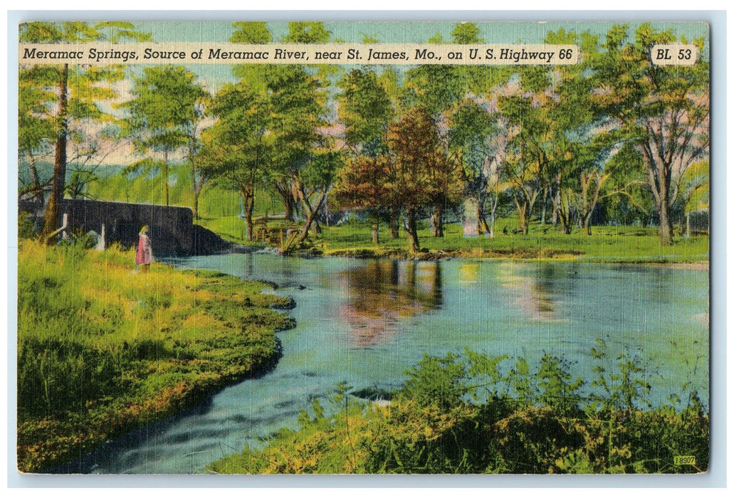 c1940's Meramac Springs Source Of Meramac River St. James Missouri MO Postcard