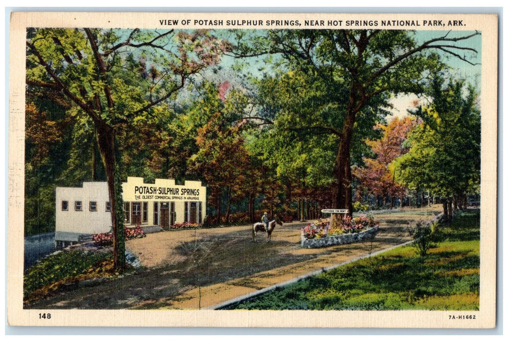 c1940 View Of Potash Sulphur Springs horse Back Riding Hot Springs AR Postcard