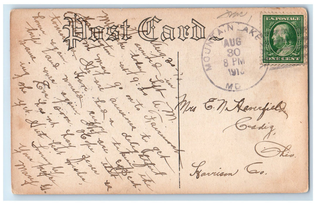 1910 Muddy Creek Falls Mt. Lake Park Deer Park & Oakland Maryland MD Postcard
