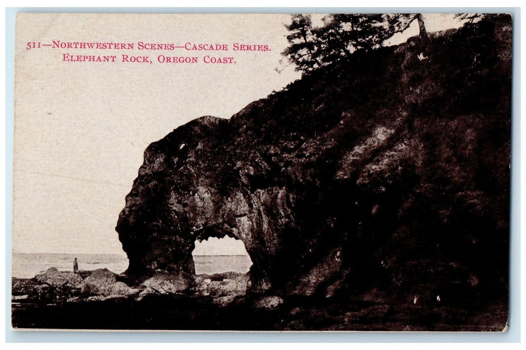 c1910 Northwestern Scenes Cascade Series Elephant Rock Oregon Coast OR Postcard