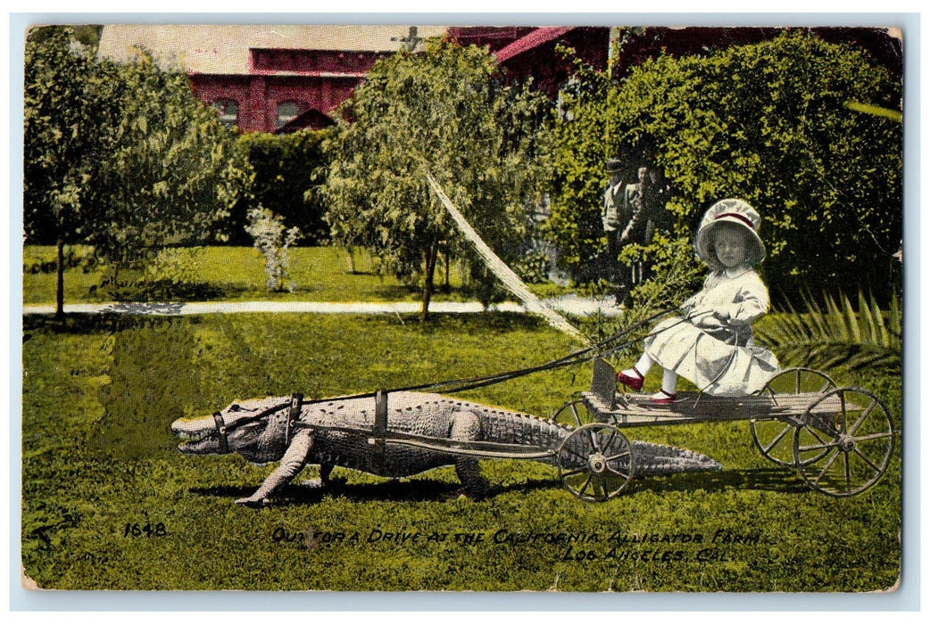 1911 A Drive At The California Alligator Farm Los Angeles California CA Postcard