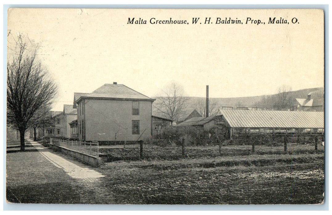 c1910 Malta Greenhouse WH Baldwin Property Flowers Plants Malta Ohio OH Postcard