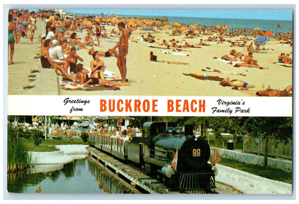 c1950's Greetings From Buckroe Beach Bathing Family Park Virginia VA Postcard