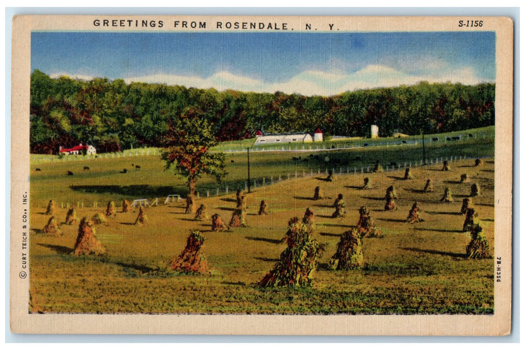 c1940's Greetings From Rosendale Trees New York NY Unposted Vintage Postcard