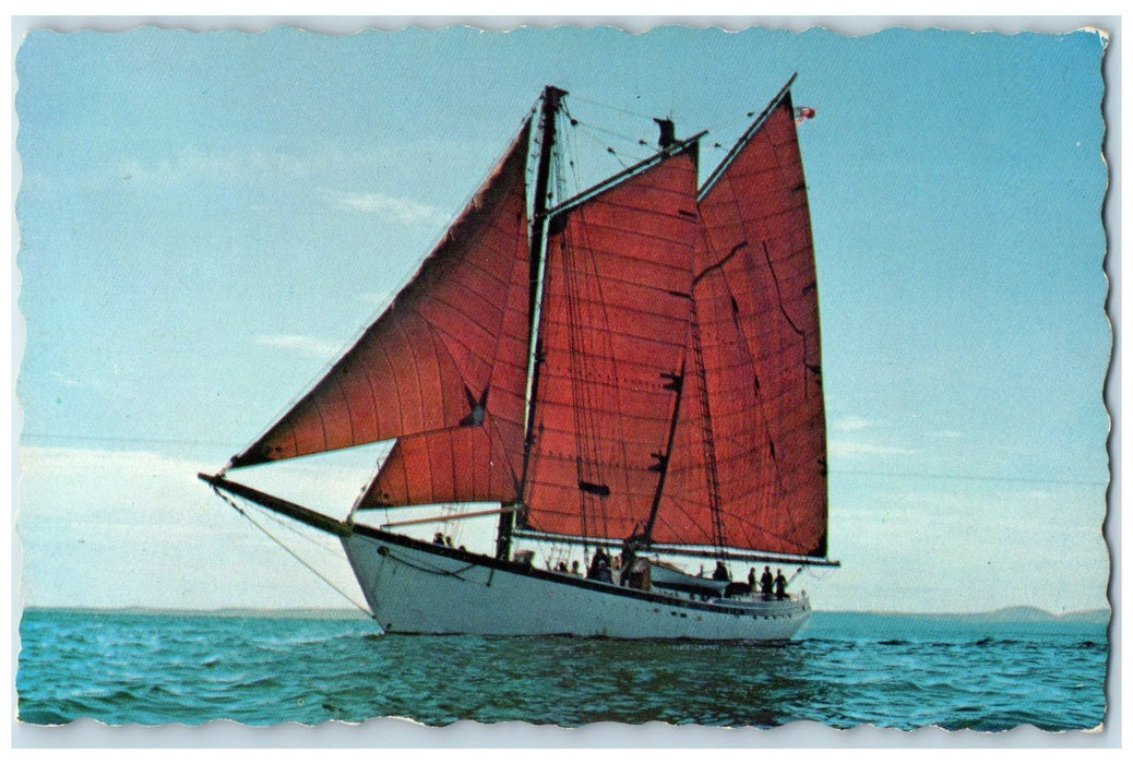 c1960's Schooner Roseway Largest Windjammers Afloat Camden Maine ME Postcard