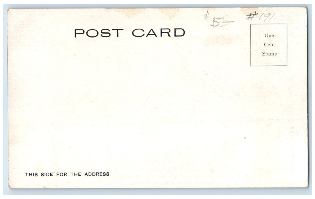 c1905's C. B. Line City Of Buffalo Operating Daily Cleveland Buffalo NY Postcard