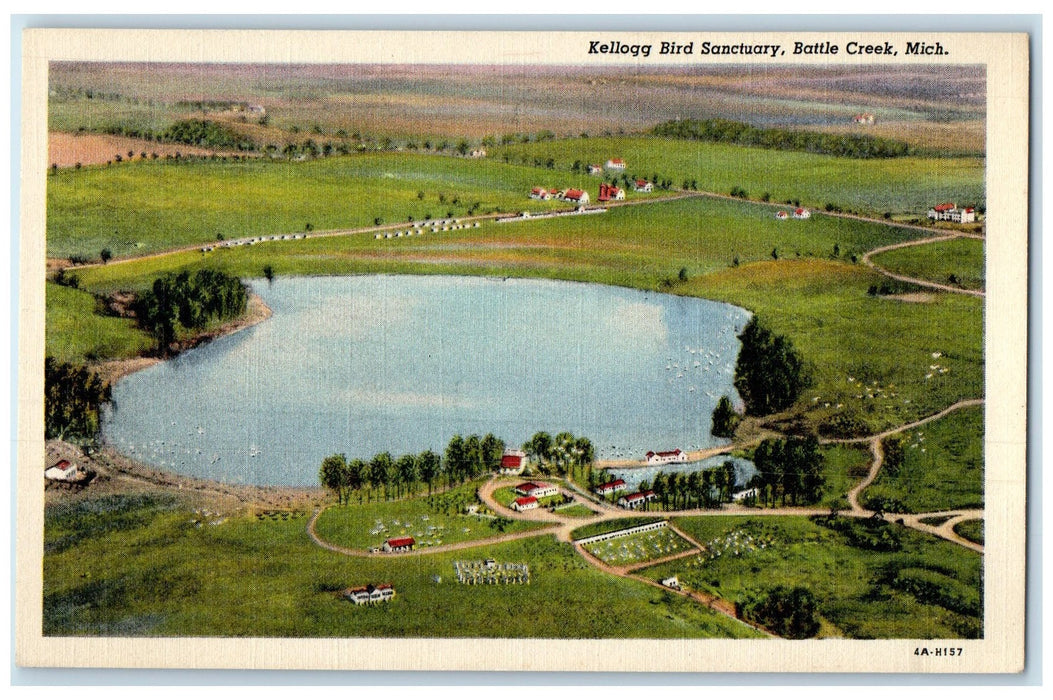 c1940s Kellogg Bird Sanctuary Scene Battle Creek Michigan MI Unposted Postcard