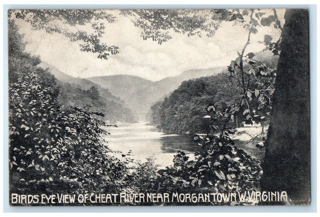 1907 Bird's Eye View Of Cheat River Morgantown West Virginia VA Trees Postcard