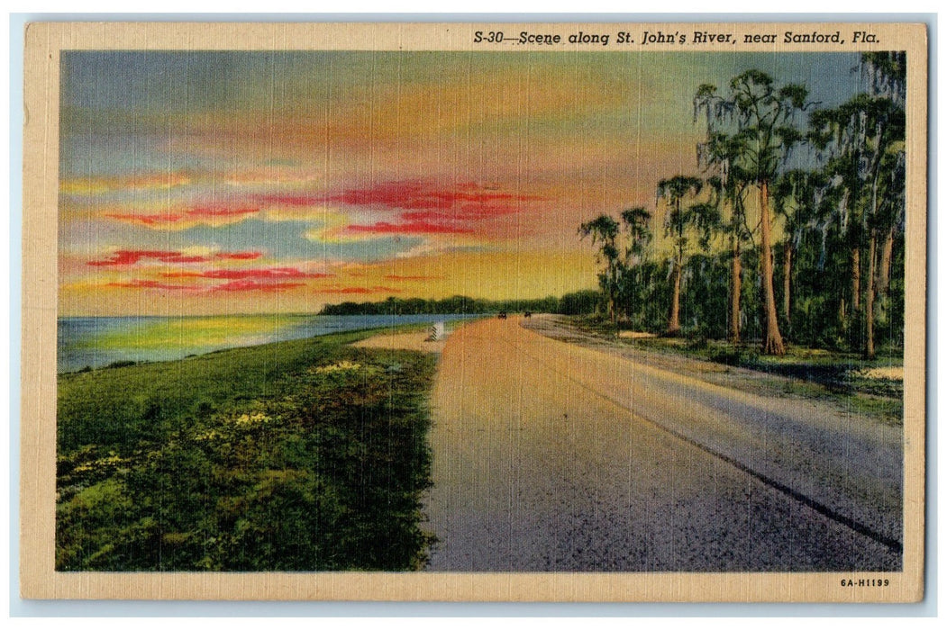 c1940's Scene Along St. John's River Road View Near Sandford Florida FL Postcard