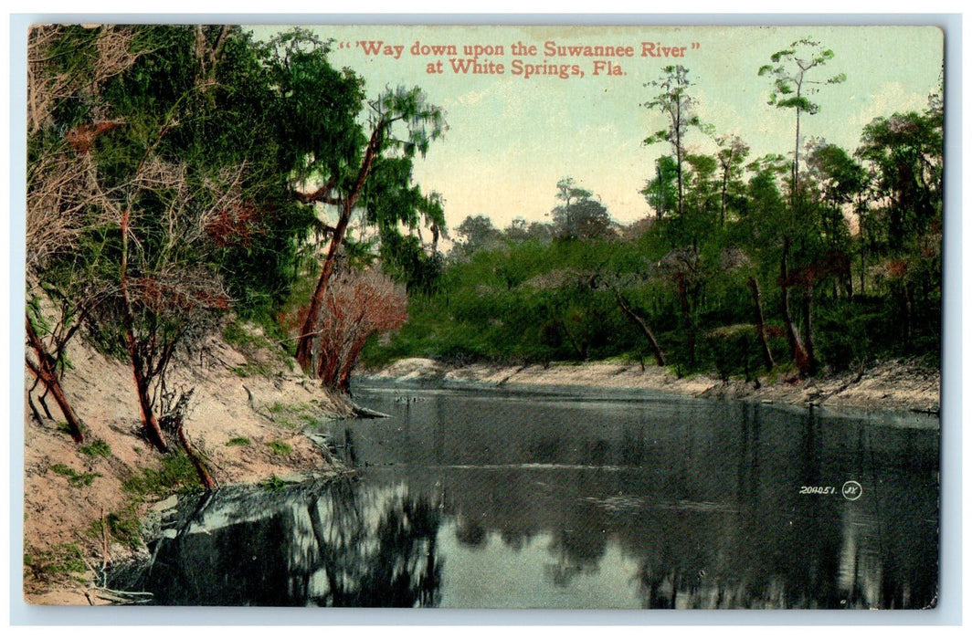 c1910 Way Down Upon The Suwannee River View At White Springs Florida FL Postcard
