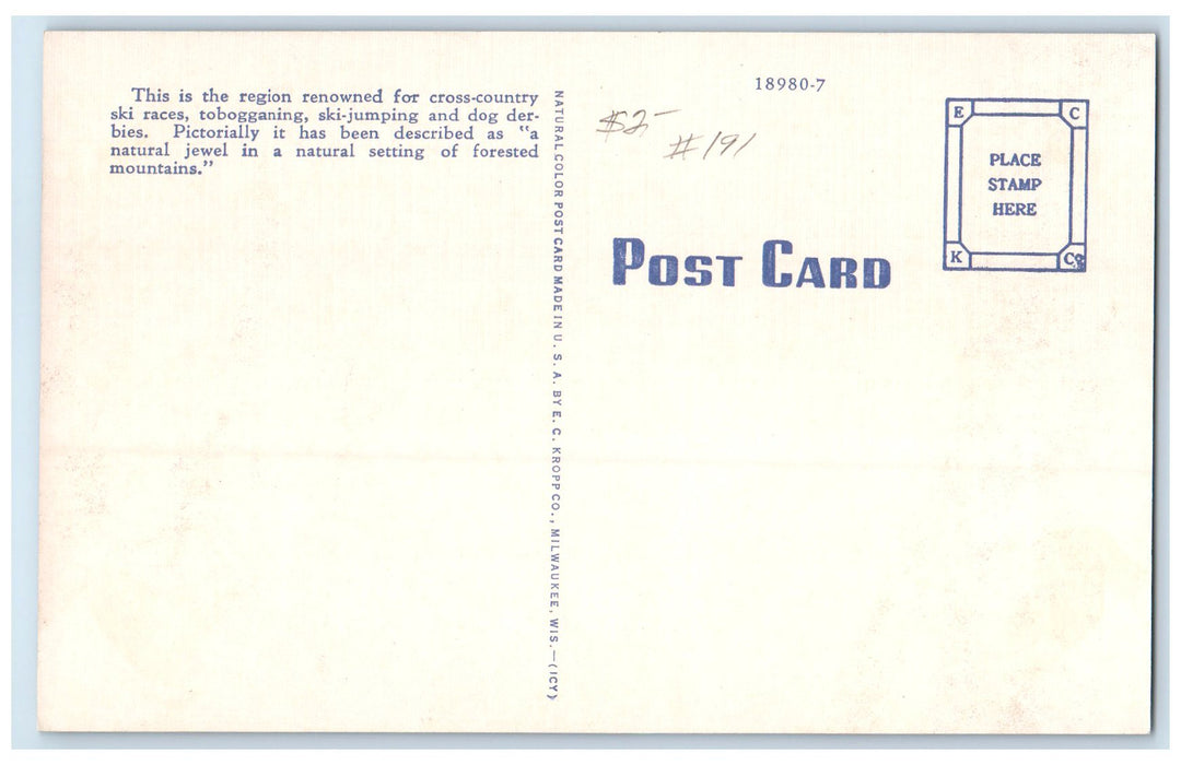 c1940's Payette Lake Over View Groves Trees Idaho ID Unposted Vintage Postcard