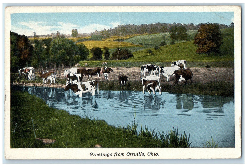 1919 Greetings From Orrville Ohio OH Posted Cows Drinking From River Postcard