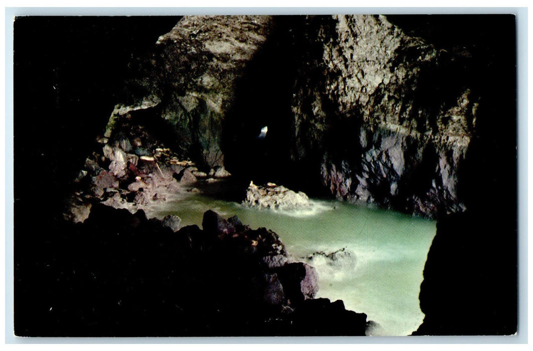 c1950 Sea Lion Cave Oregon Coast Interior Rock Wall Florence Oregon OR Postcard