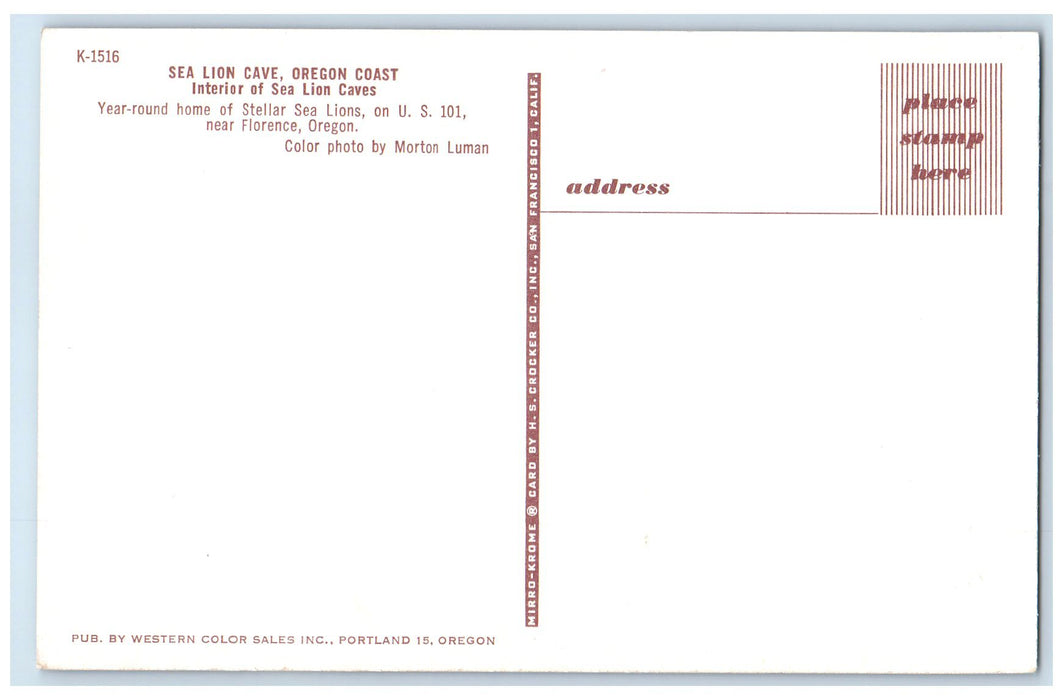 c1950 Sea Lion Cave Oregon Coast Interior Rock Wall Florence Oregon OR Postcard